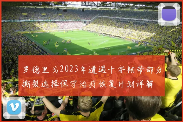 罗德里戈2023年遭遇十字韧带部分撕裂选择保守治疗恢复计划详解