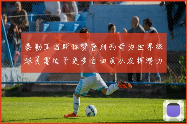 泰勒亚当斯称赞普利西奇为世界级球员需给予更多自由度以发挥潜力