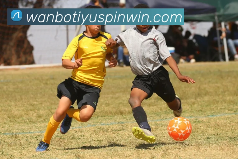 万博体育服务体系